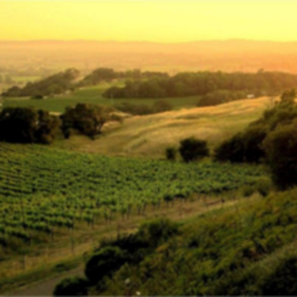 Teresa Torassa Grossi