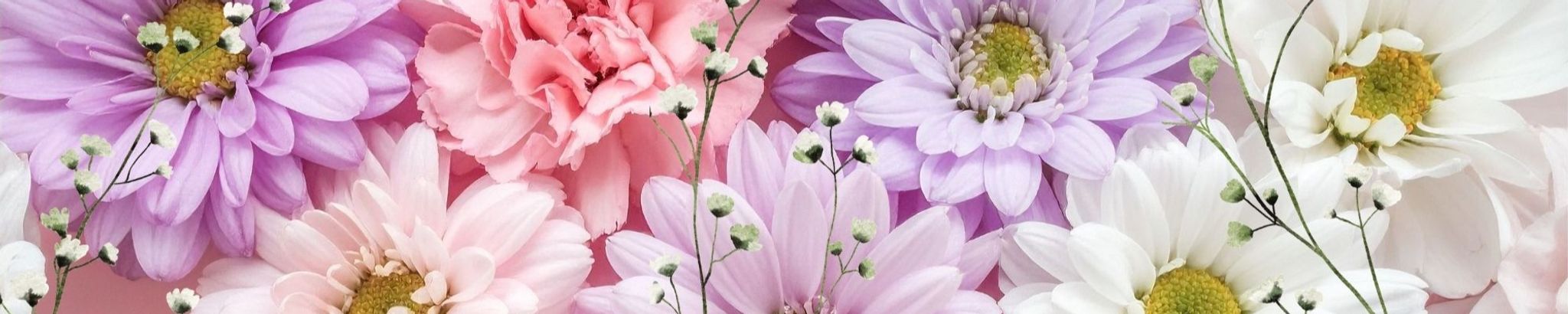 Cover for Agnes Caroline Dillon's Obituary