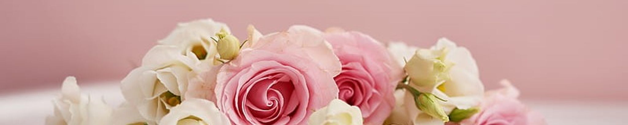 Cover photo for Luanne "Sally" Smith's Obituary