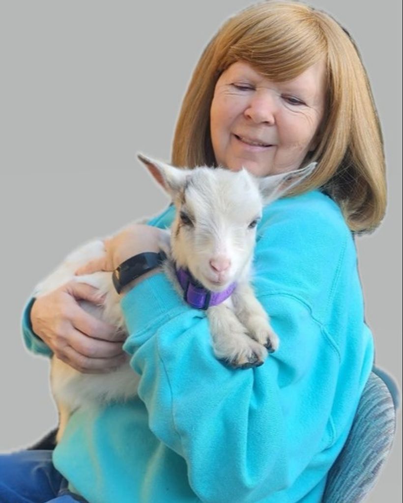 Judy Lynn Cole Profile Photo