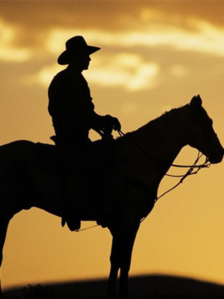 Randy “Cowboy” L. Sweere