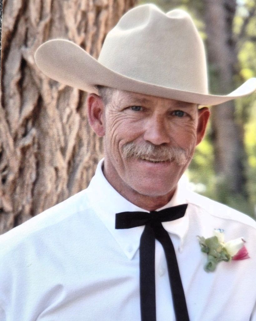 Terry Lee Hollis