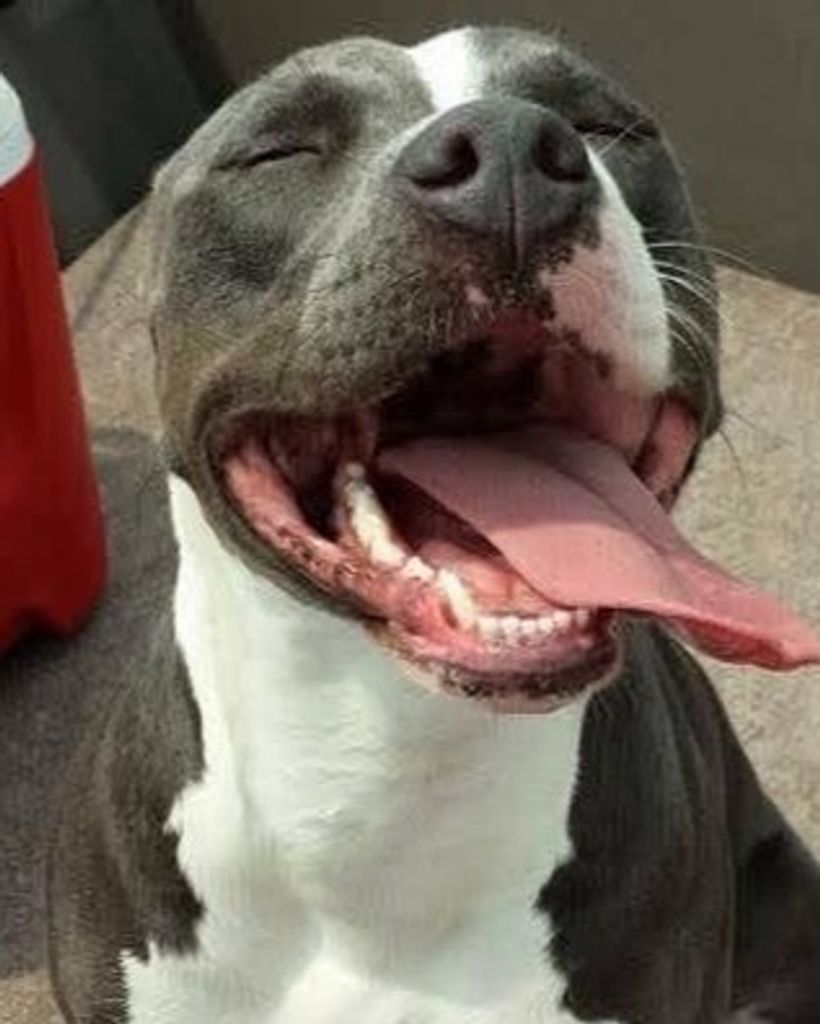 Bella Floyd Profile Photo