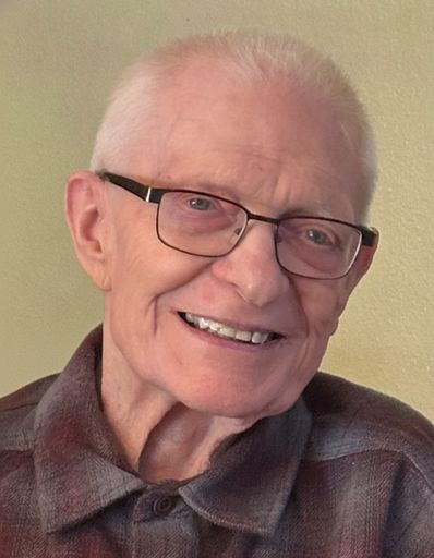 Dennis Wayne Olsen's obituary image