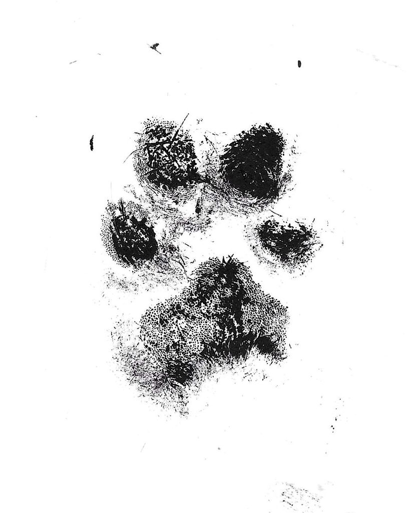 Penny Everhart Profile Photo