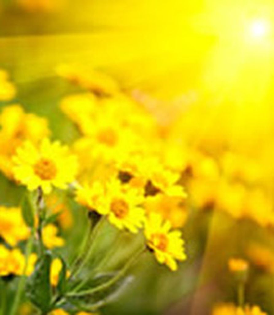 Eva Hooks Profile Photo