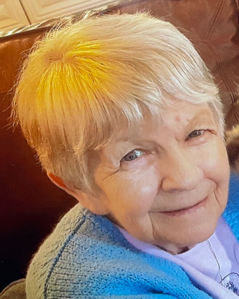 Patricia A. (McLaughlin) Walles Profile Photo