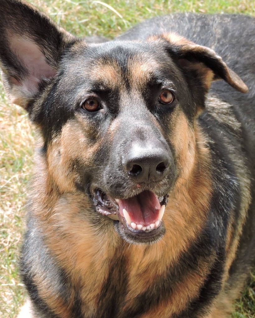 Bandit Canyon Profile Photo