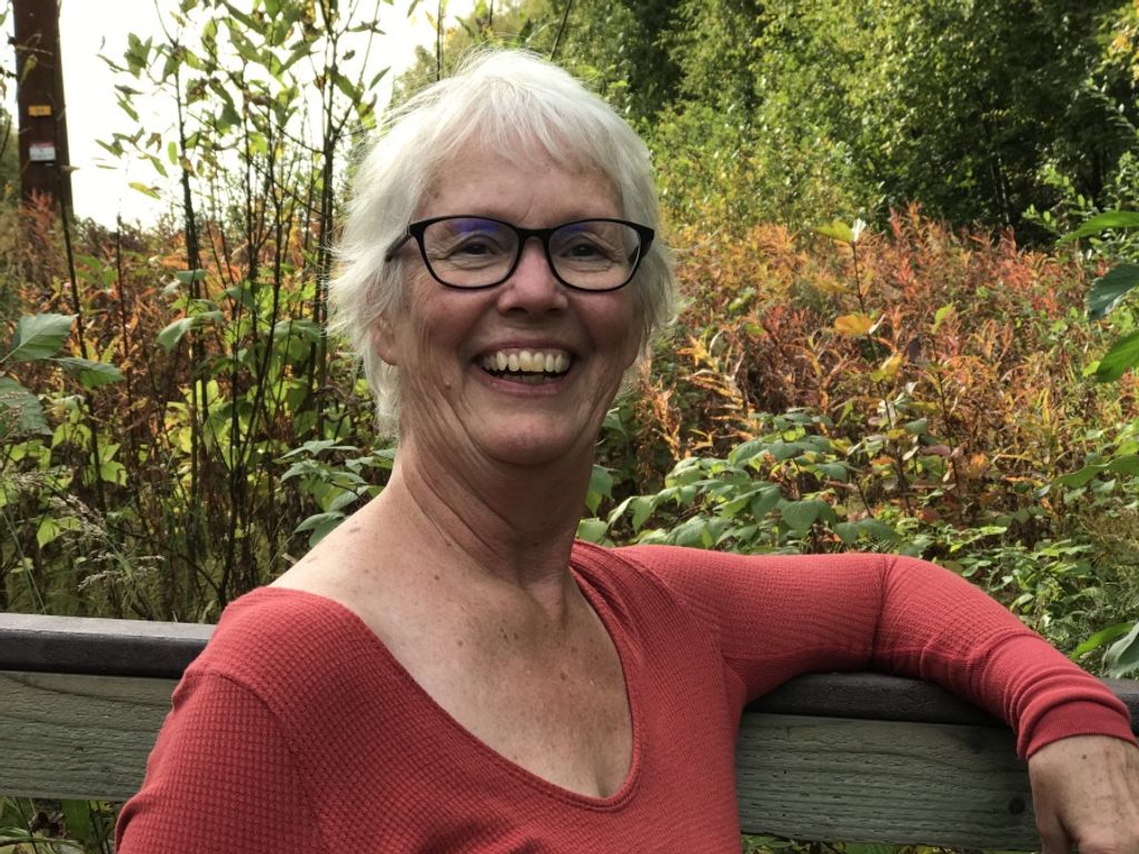 Ann Elaine (Larson)  Choate