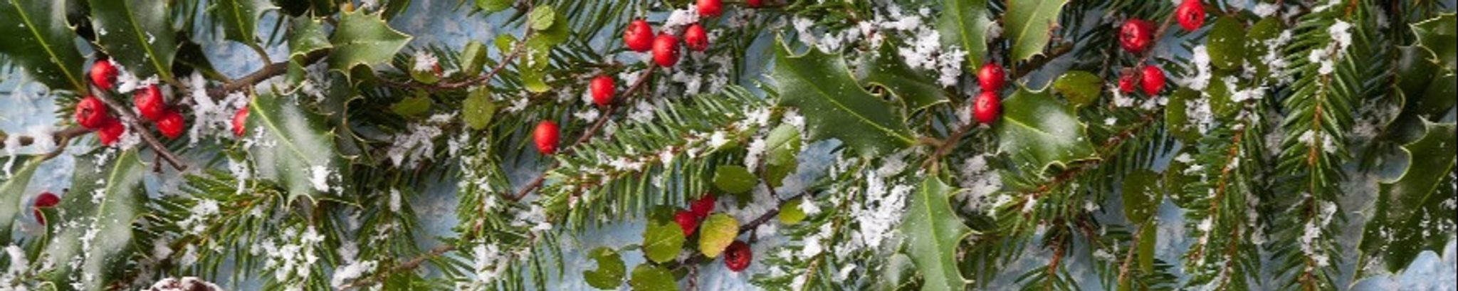 Cover for Mrs. Edna Mae Bogard McClarty's Obituary