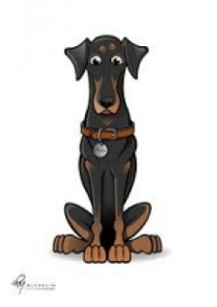 Spicy Hamil Profile Photo