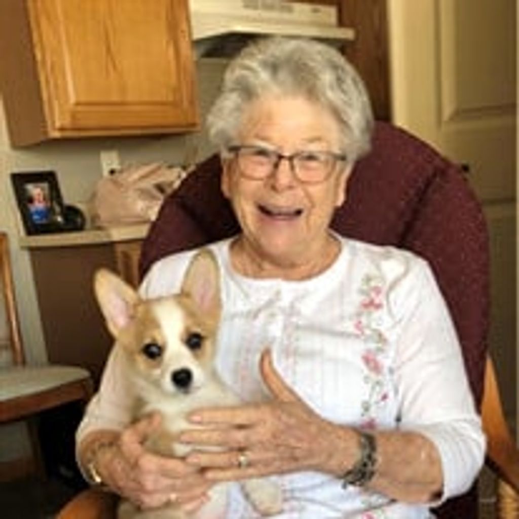 Joanie Harms Profile Photo