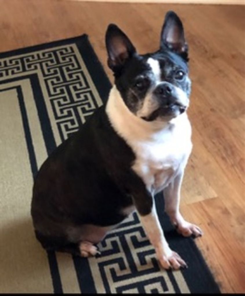 Dixie Curbow Profile Photo