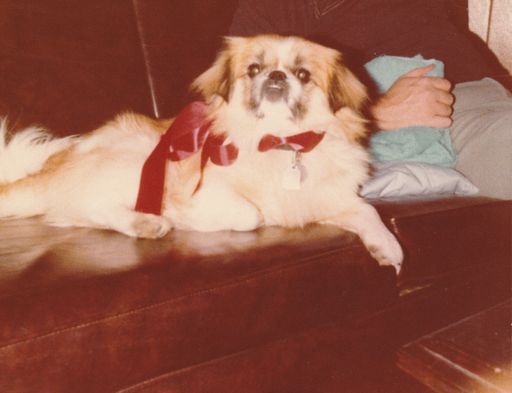 Dana L. Godfrey Baker photo gallery thumbnail 2 of 11