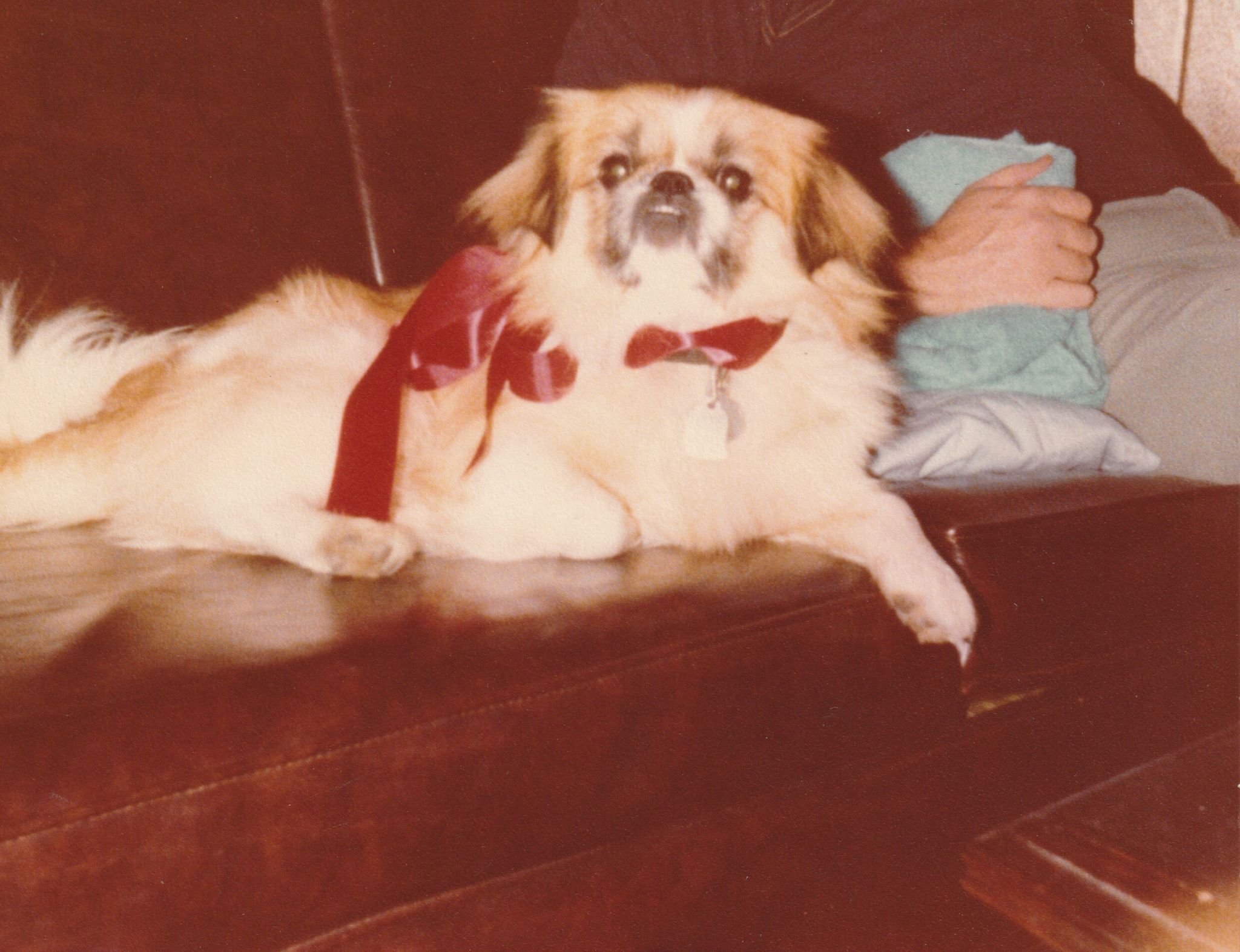 Dana L. Godfrey Baker photo gallery image 2 of 11