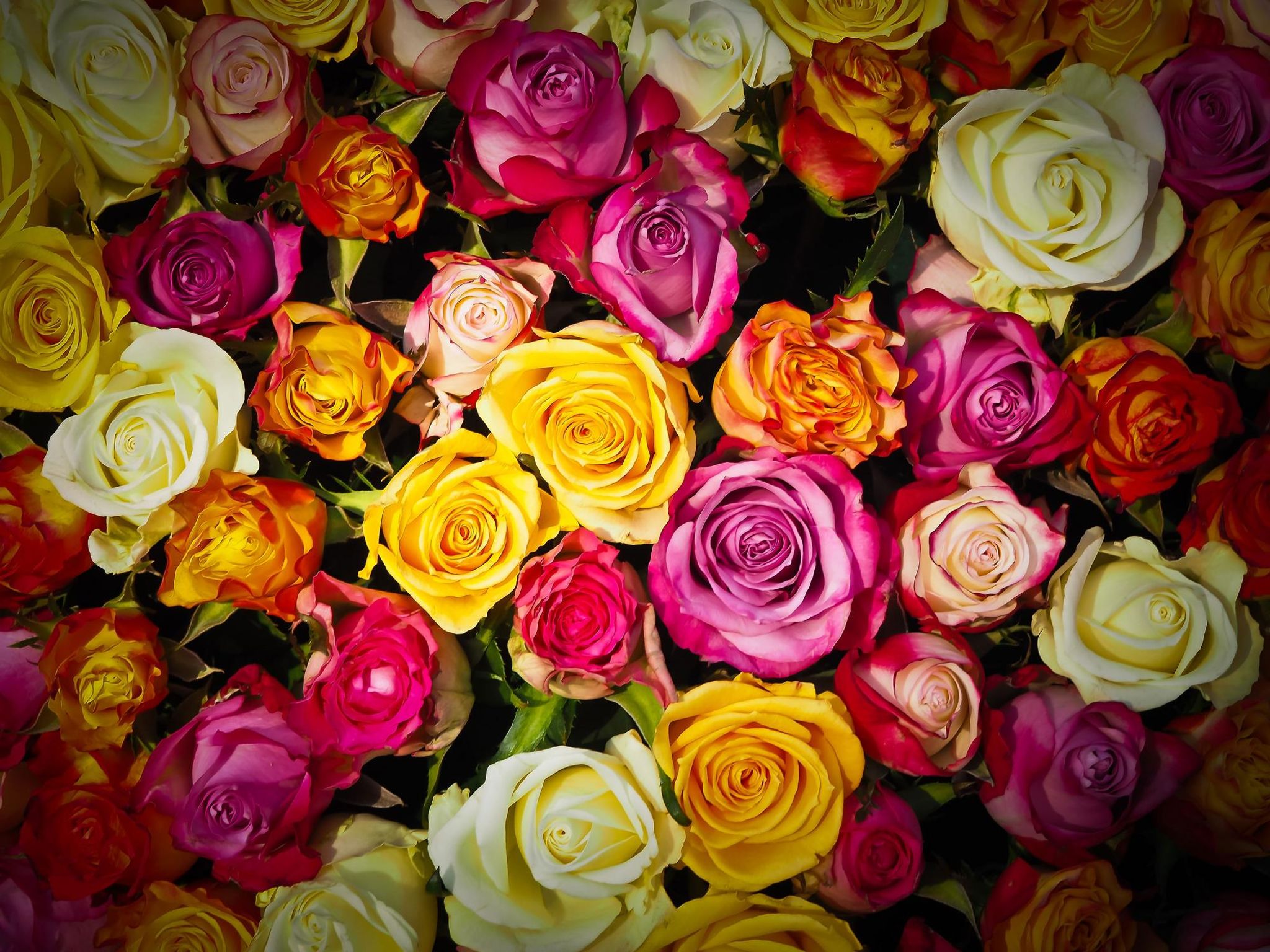 Cover for Rose Elizabeth Hendricks's Obituary