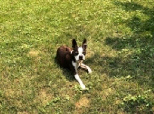 Olivia Lersten's obituary image