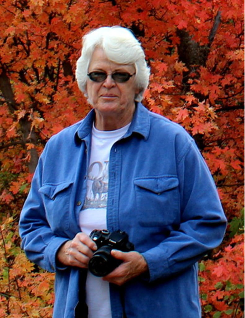 Judith "Judy" Ann Young Toland Erickson Profile Photo