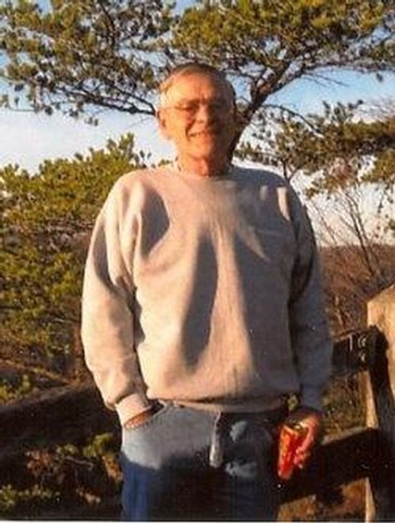 David F. Willis