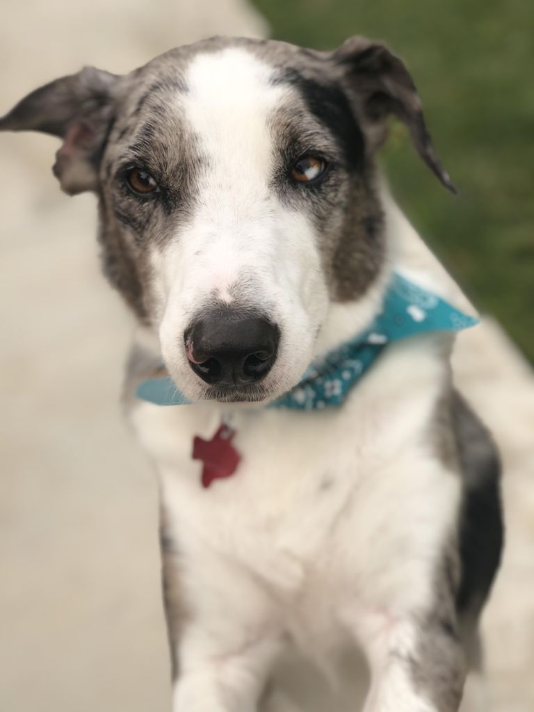 Duke Holloway Profile Photo