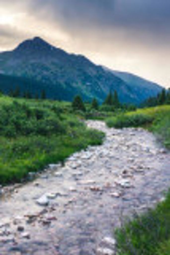 Jose  Felix Castillo Profile Photo