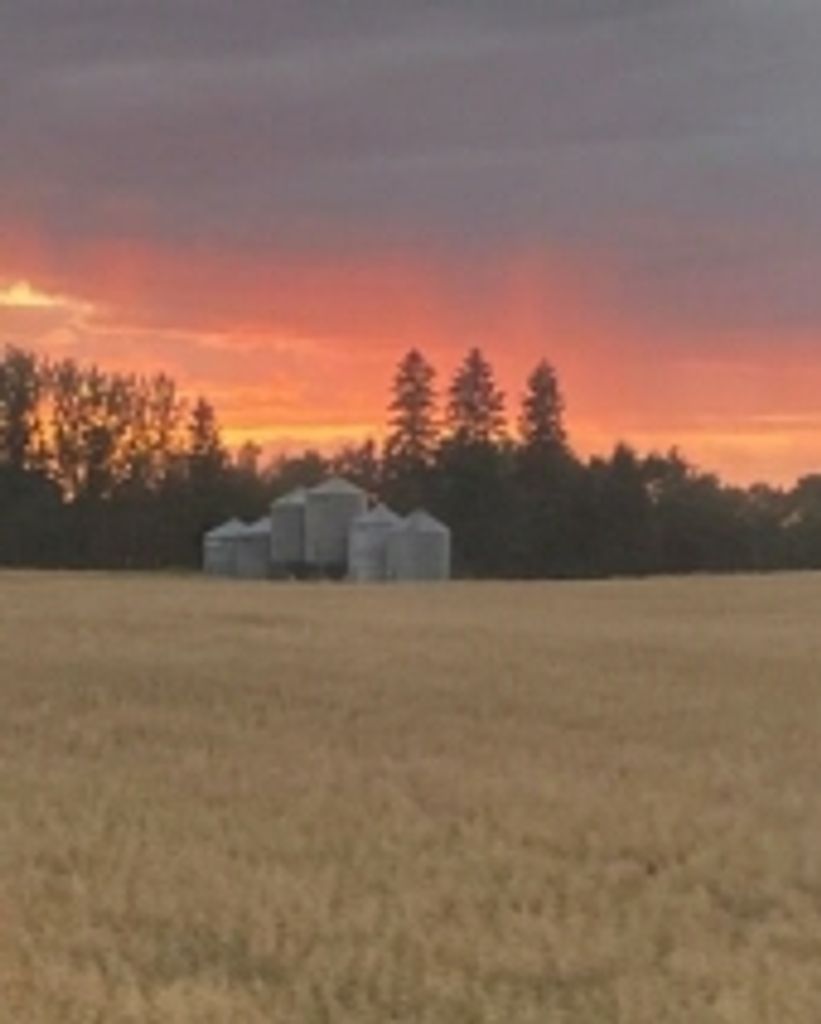 Bob Baerg Profile Photo