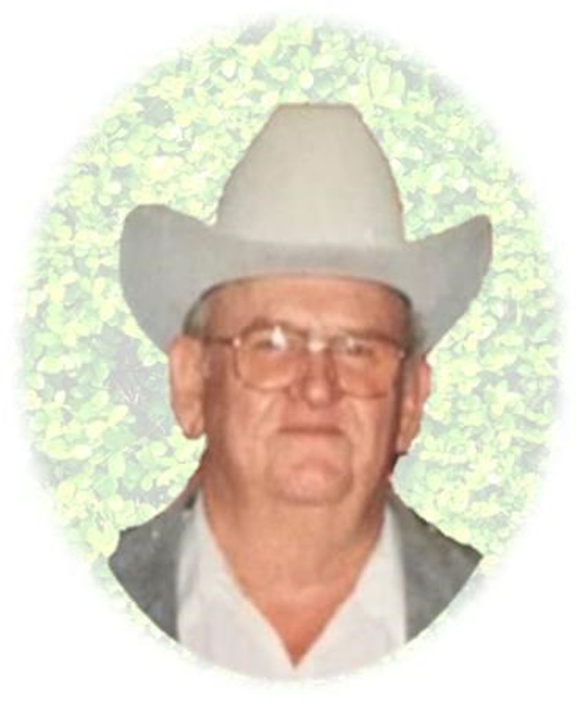 Felix Steinke Profile Photo