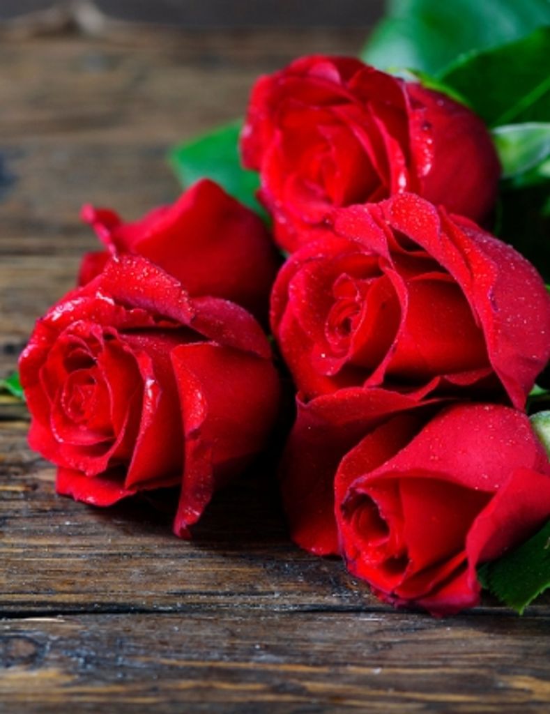 Tiffany Campbell Profile Photo