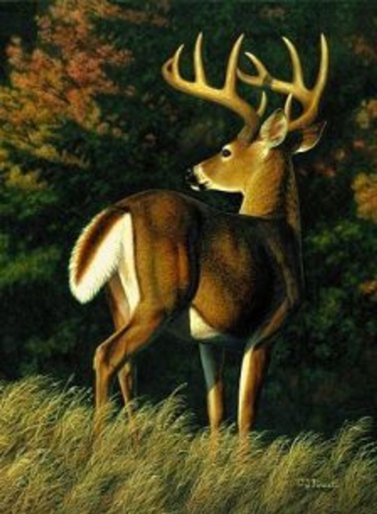Richard James Collins Profile Photo
