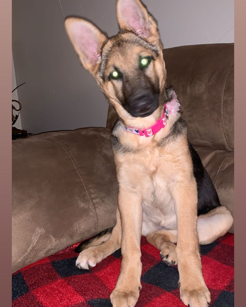 Hazel Acosta Profile Photo