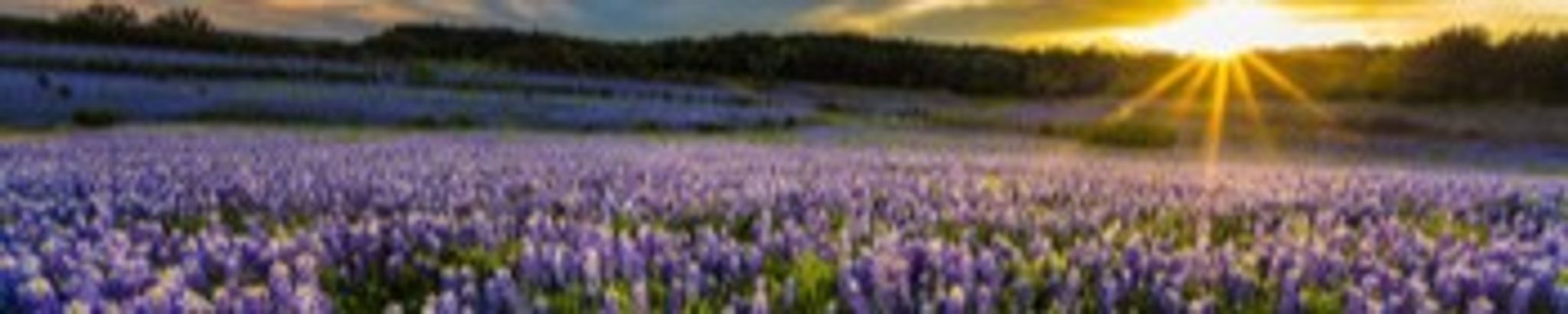 Cover photo for Joyce Ann Blyue's Obituary