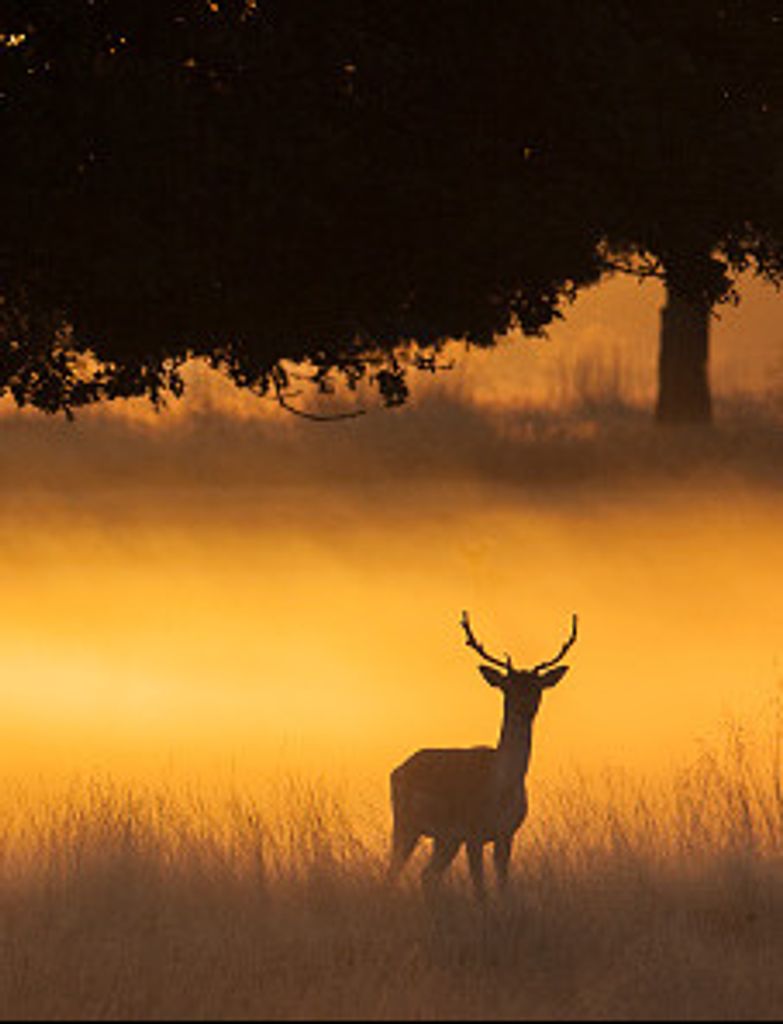 Ashley Michael Martin Profile Photo