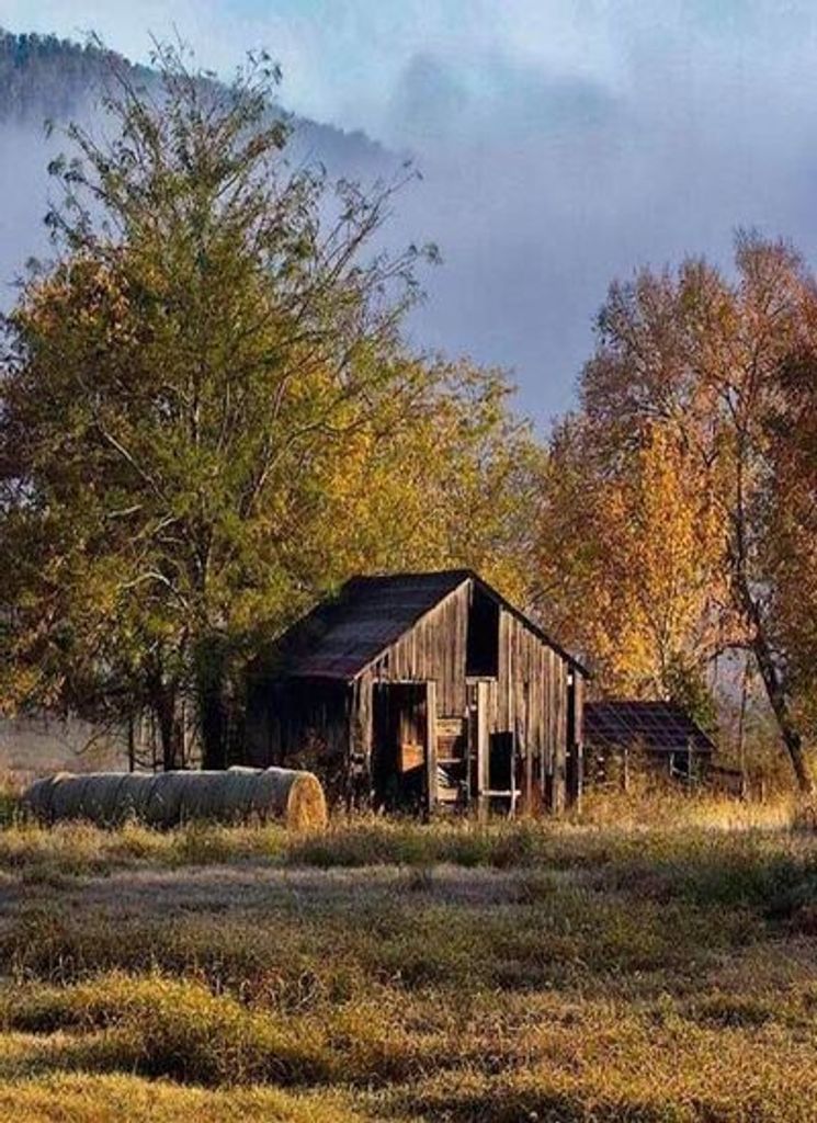 Lacy Earl Bowman Profile Photo