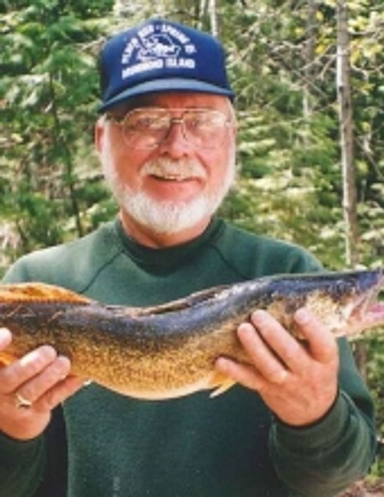 David Shepherd