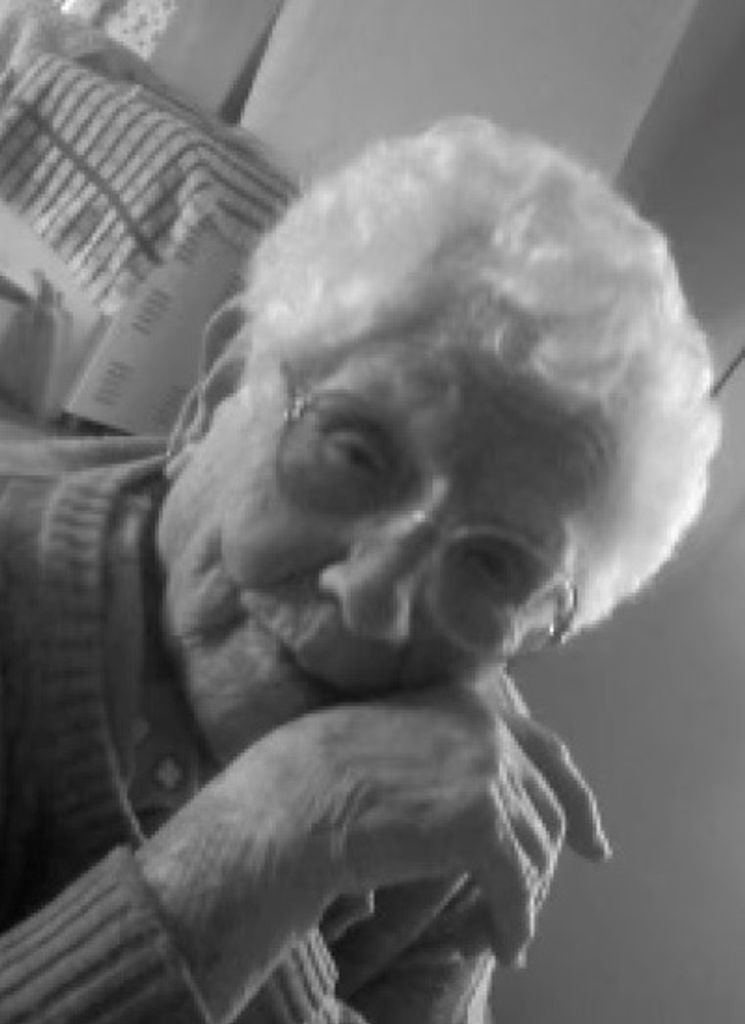 Mary E. Wilcox Schnepp Profile Photo