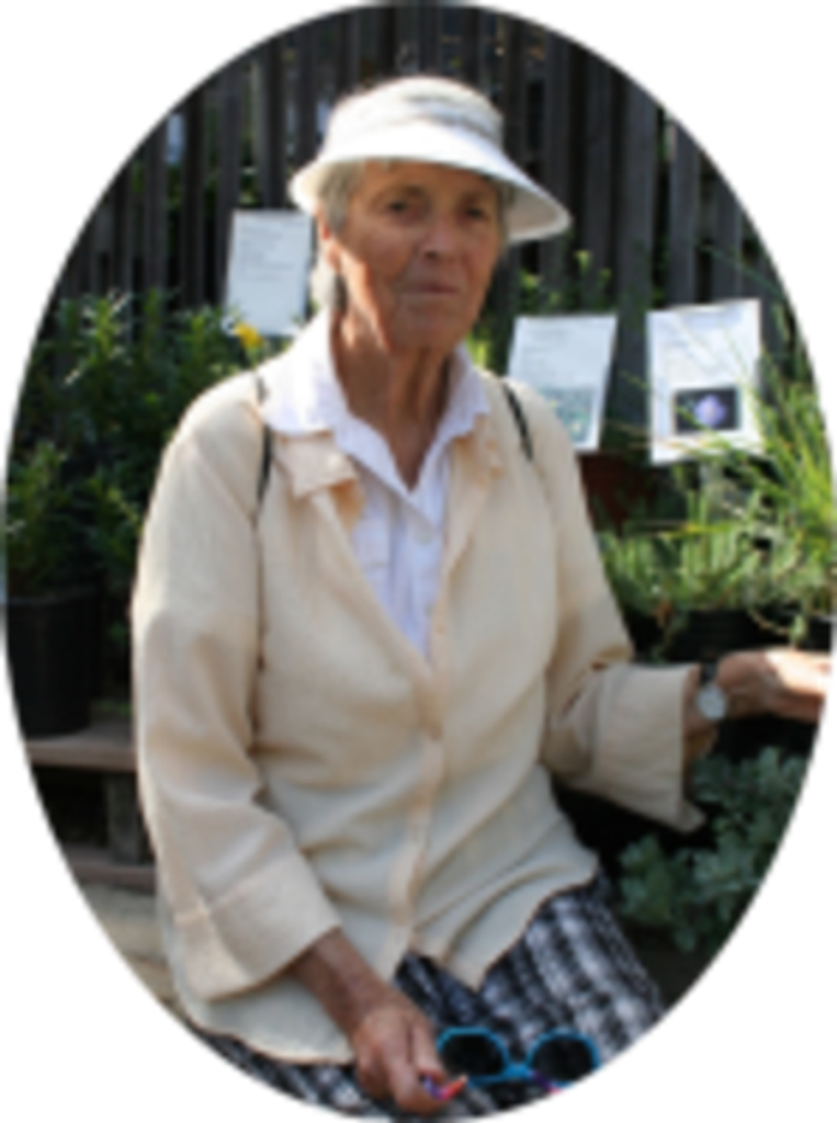 Shirley Ann Bennett