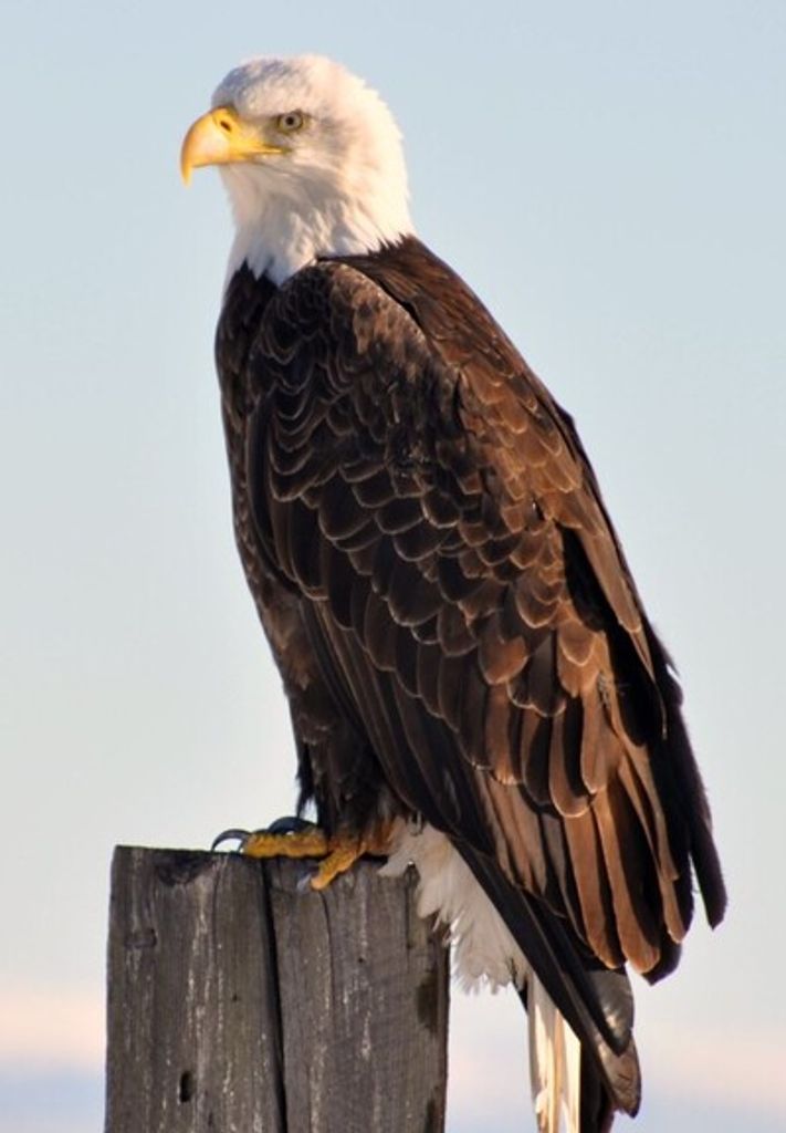 James Edward Gooderham Profile Photo