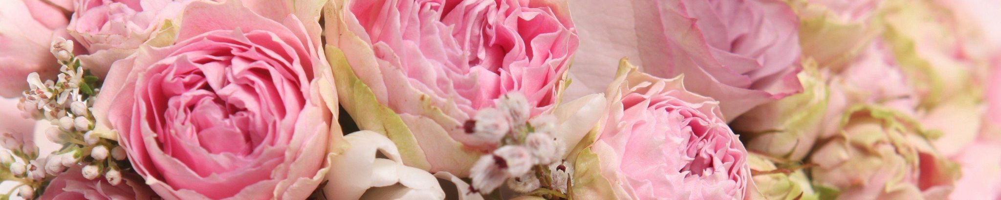 Cover photo for Debby Riley's Obituary