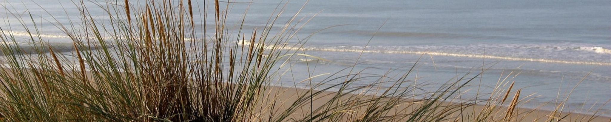 Cover for William J. Sarra, Jr.'s Obituary