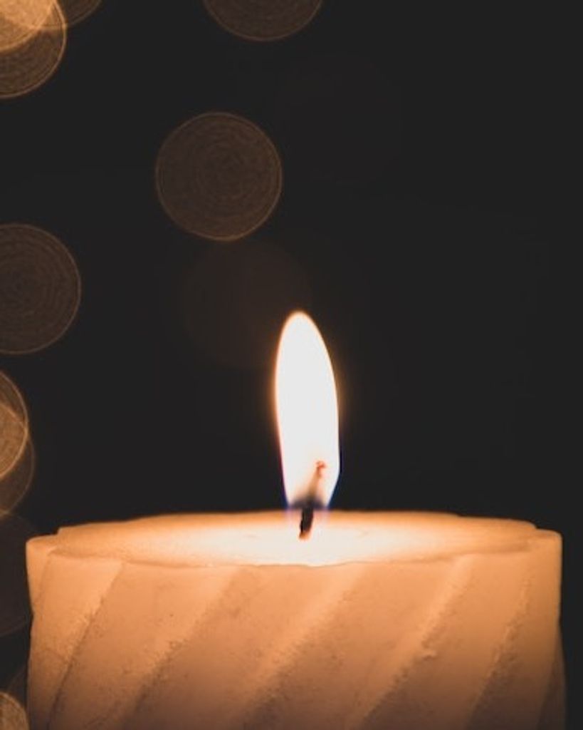 Armando Vieira Profile Photo