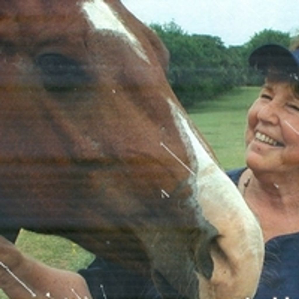 Connie Joyce Bly Profile Photo