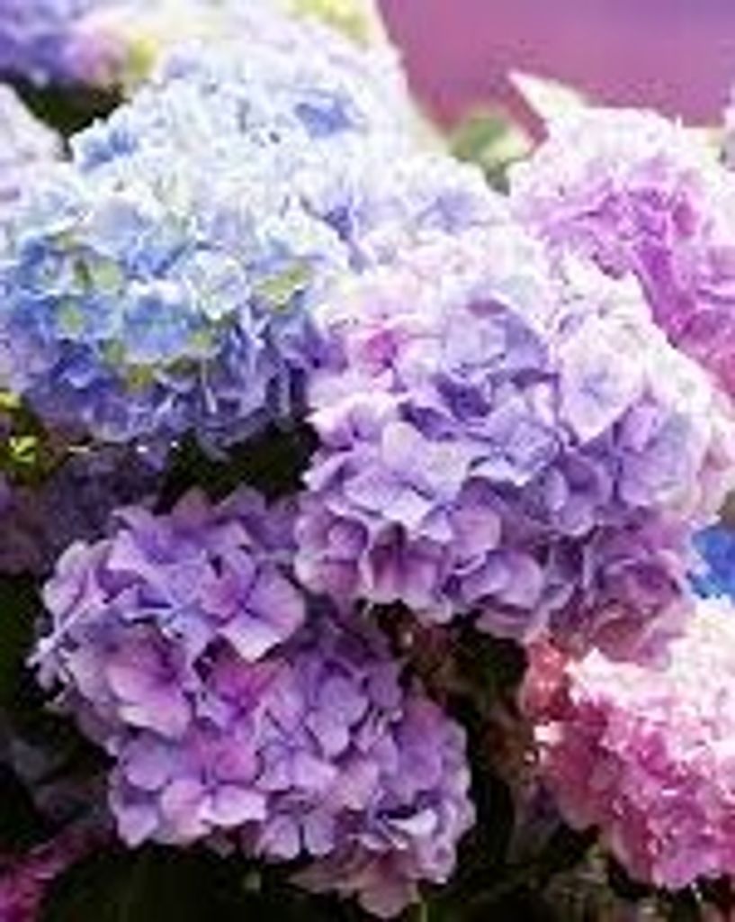 Kathleen "Kathie" Marie Eckert