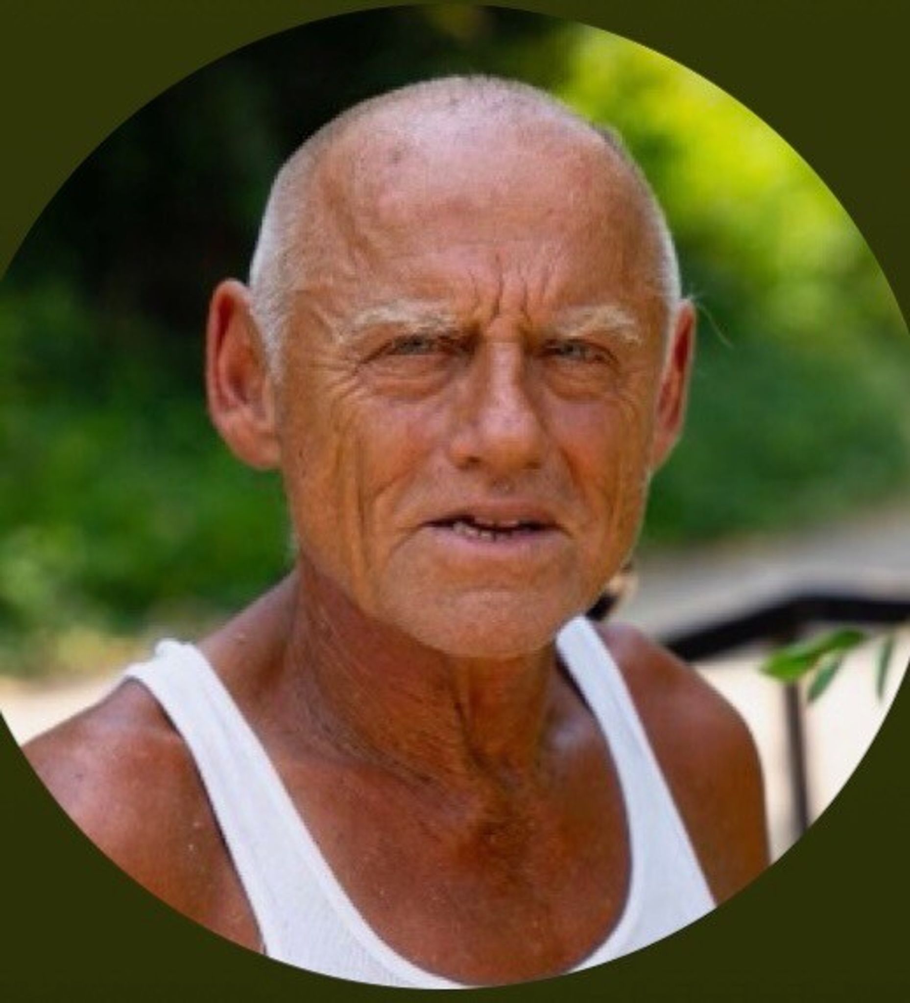 Marlene Harmon-Perkins - Independence Blue Cross | LinkedIn, image size:1858x2048