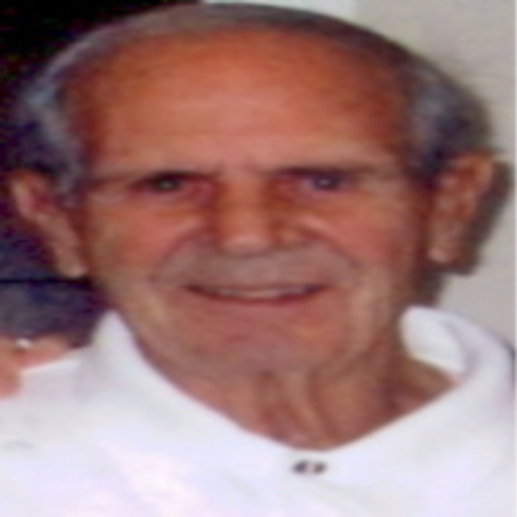 Matthew Principe Jr.