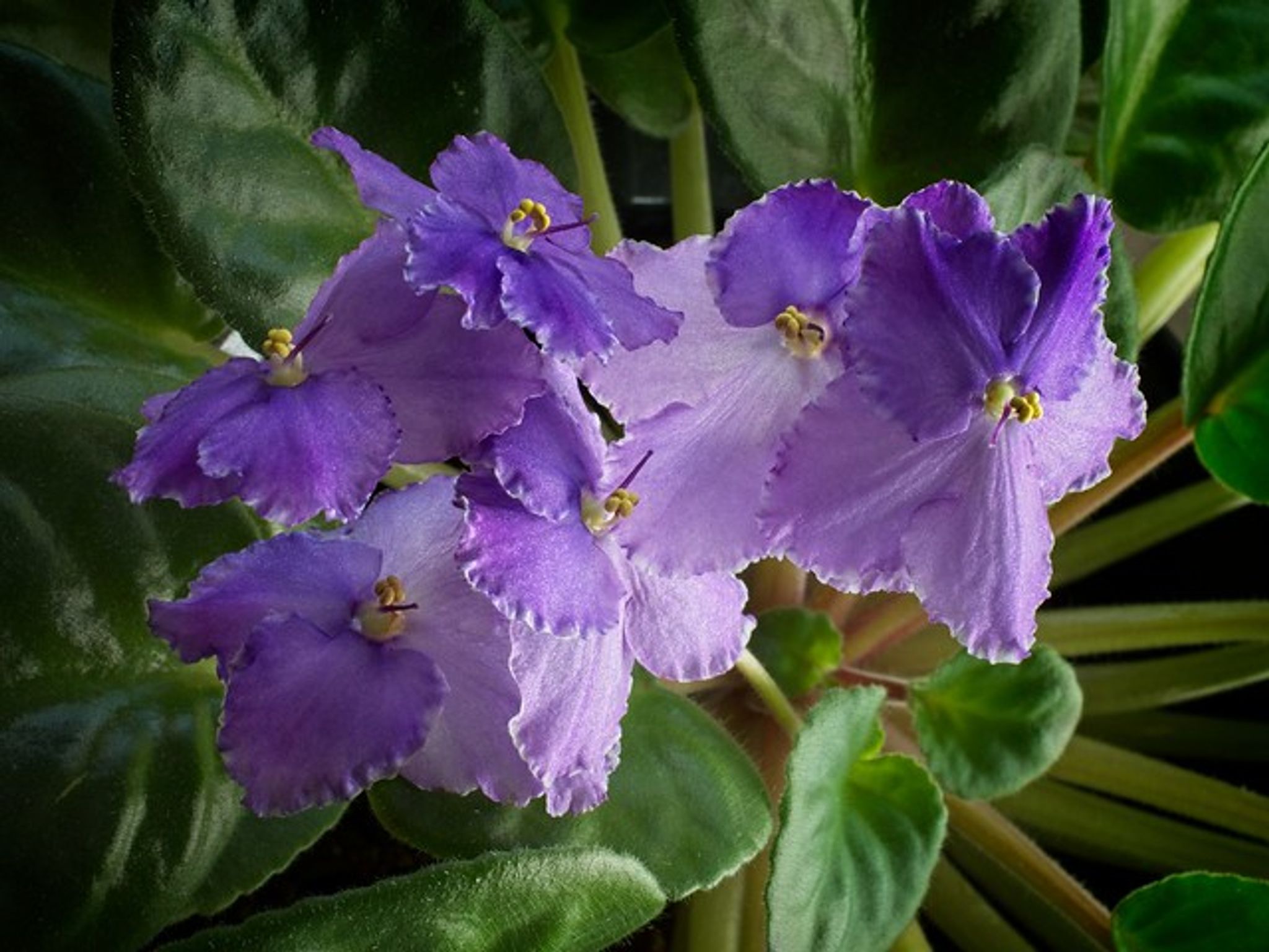 Cover photo for Tera Nichole Bohl's Obituary