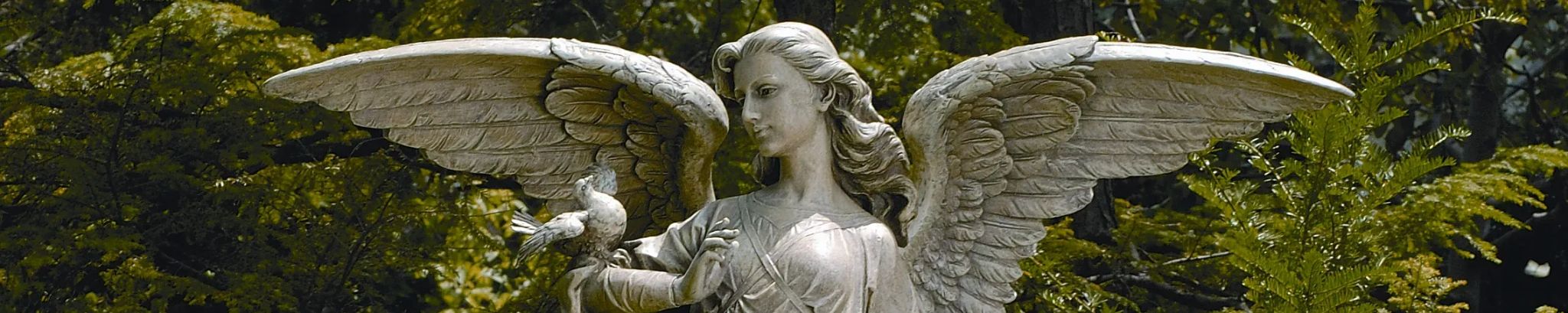 Cover photo for Aura Elena Merida's Obituary