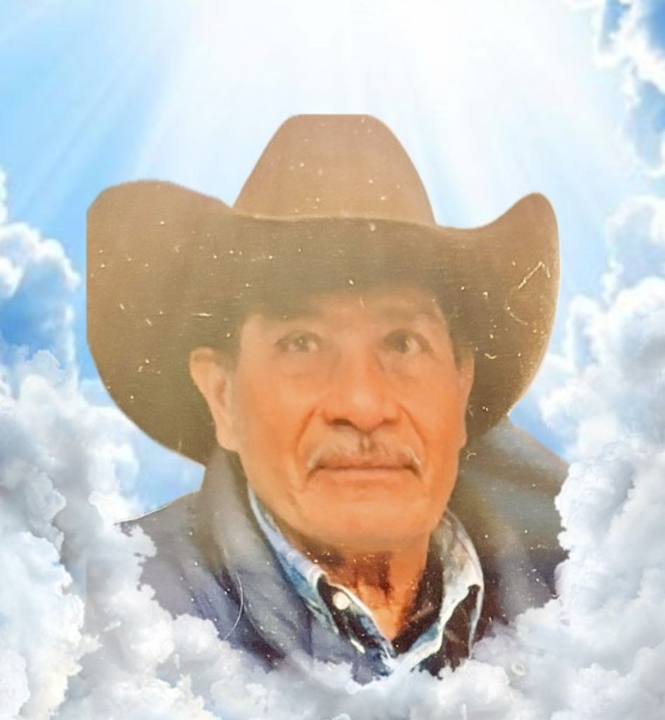 Nicolas Roman Profile Photo