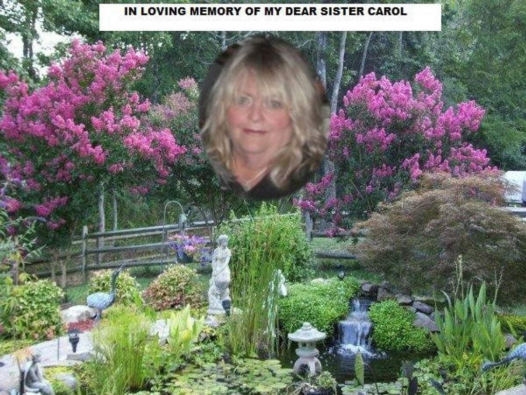 Carol Ann Engelhart Profile Photo