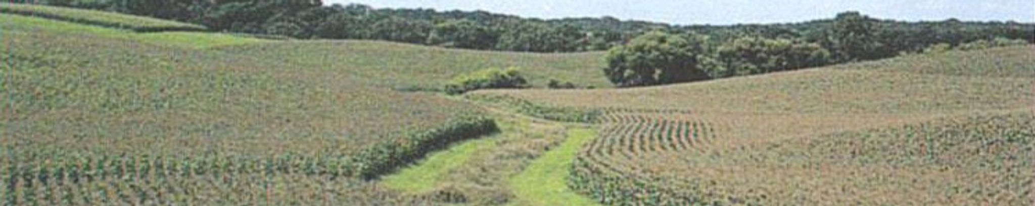 Cover photo for Gale Ernest Rittscher's Obituary