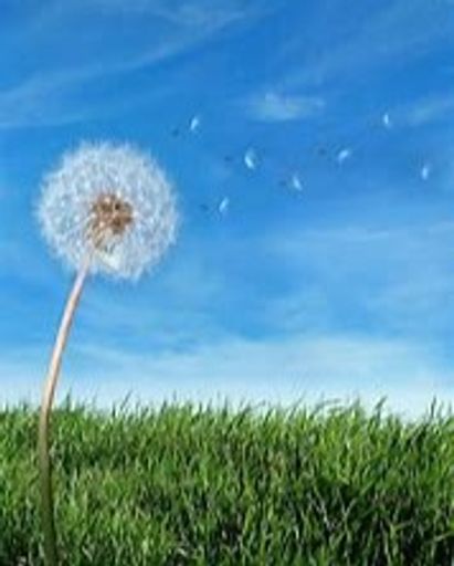 Donna Clarice Huffmaster's obituary image